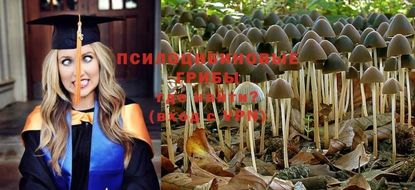 jwh Краснослободск