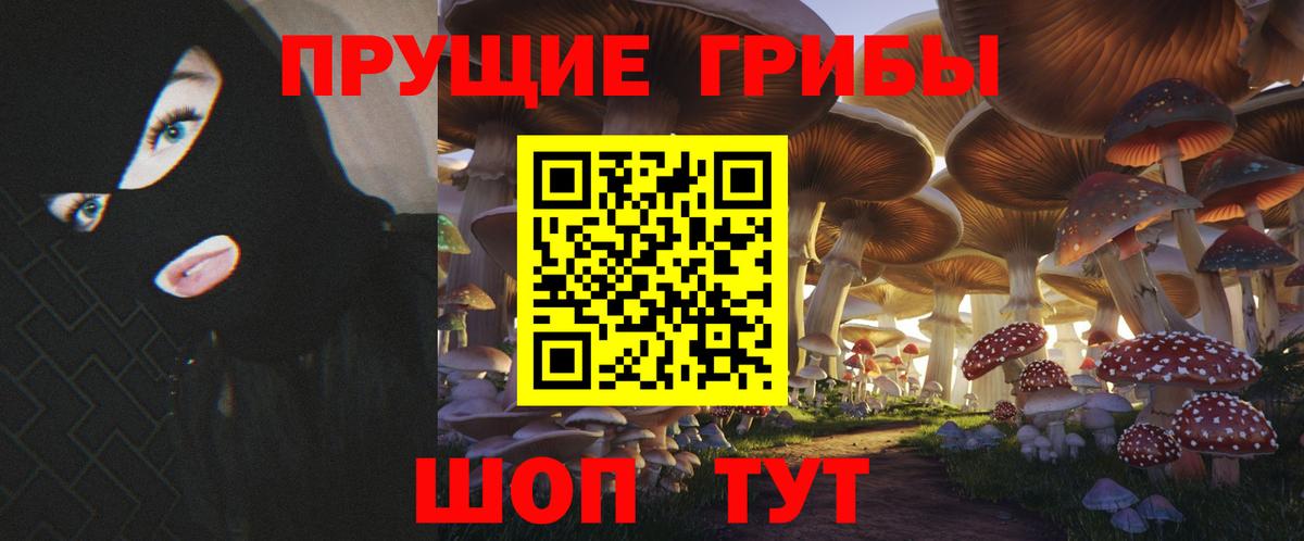 Галлюциногенные грибы ЛСД  Галлюциногенные грибы Magic Shrooms  Вход с VPN  Элиста 